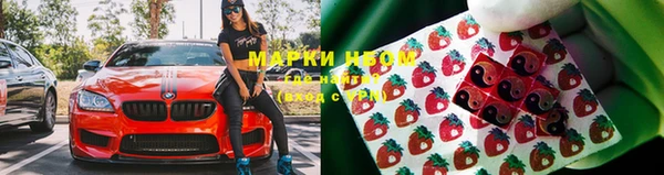 амф Абинск