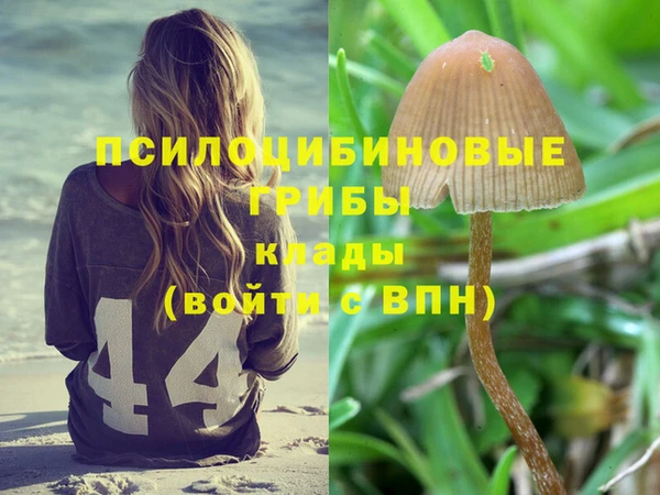дживик Алзамай