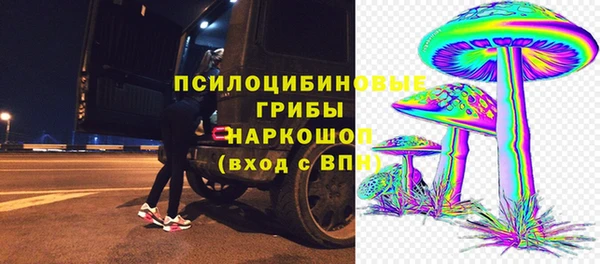 винт Алексеевка