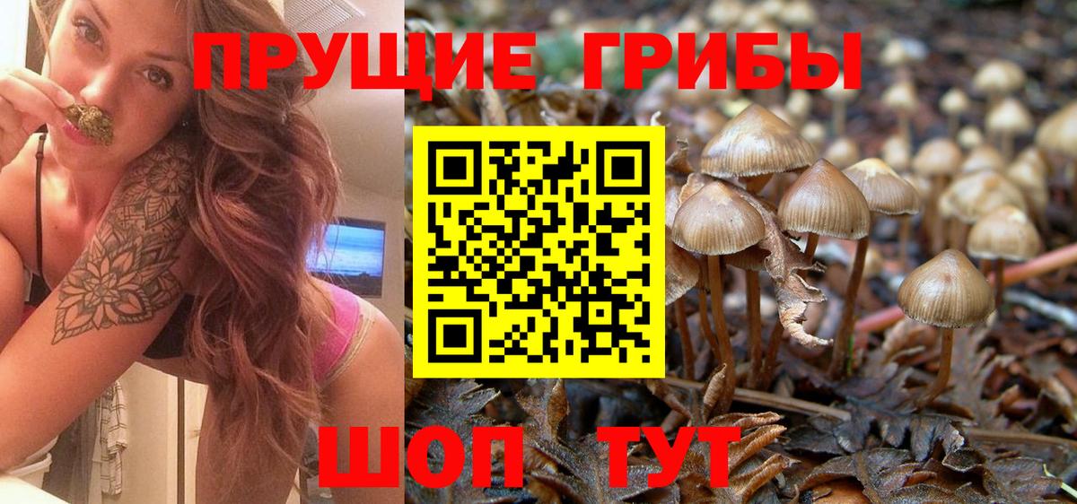 Рязань  Псилоцибиновые грибы ЛСД  Вход с VPN 