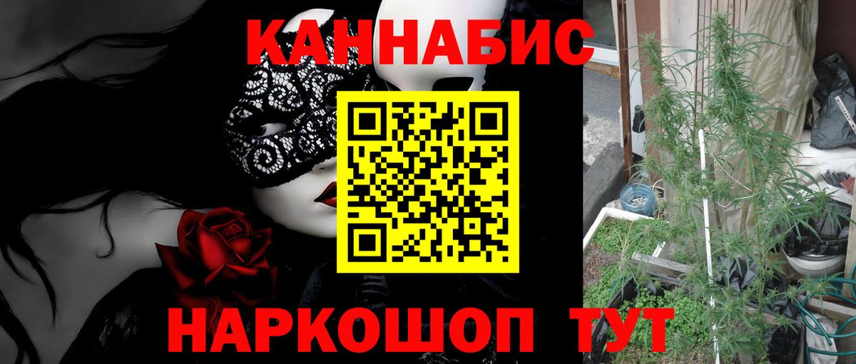 МАРИХУАНА планчик  Канабис семена  Рязань  Вход с VPN 
